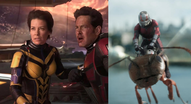 Ant-Man and The Wasp (1)