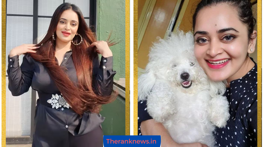 Babika Dhurve Age, Career, Net Worth, Family, Boyfriend, Affairs, Biography and More
